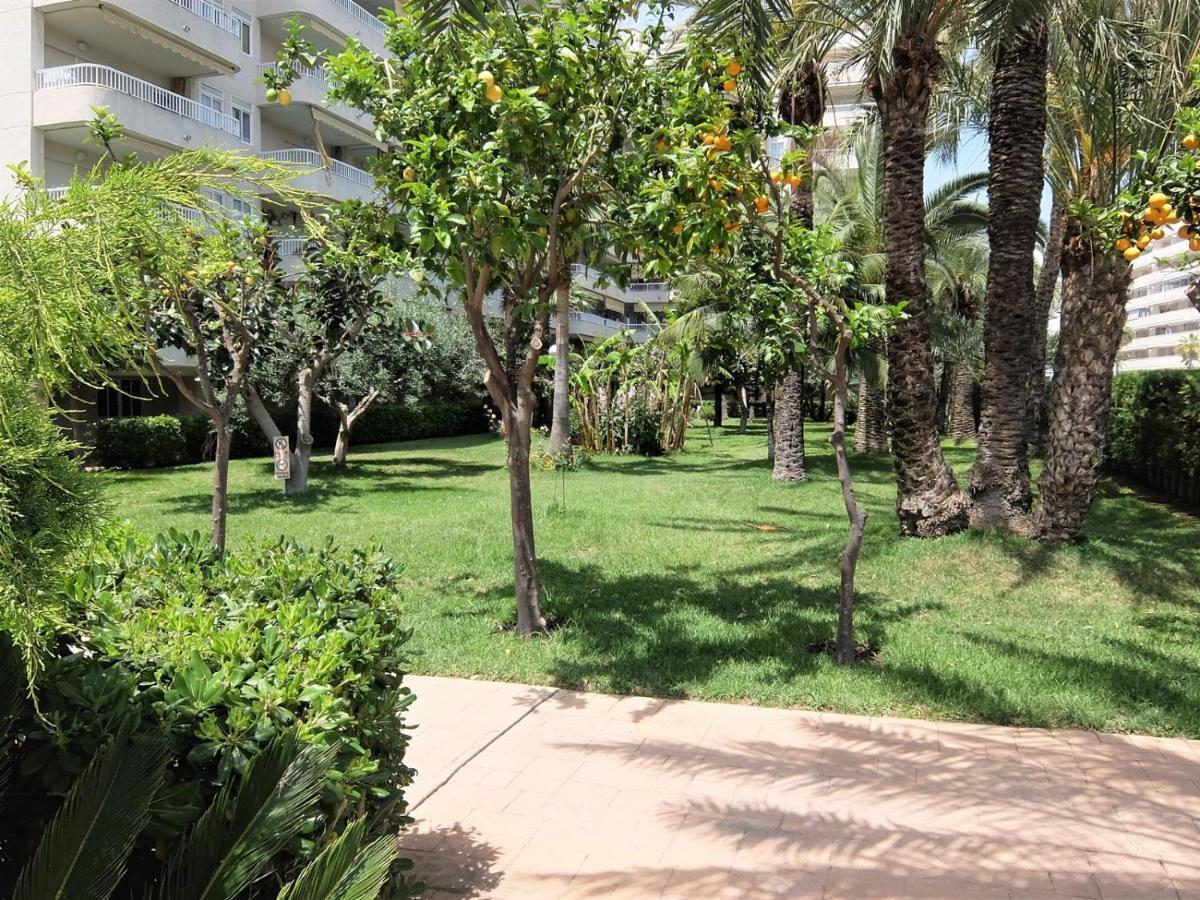 Playa de GandiaParque Mota - Alquiler Solo A Familias公寓 外观 照片